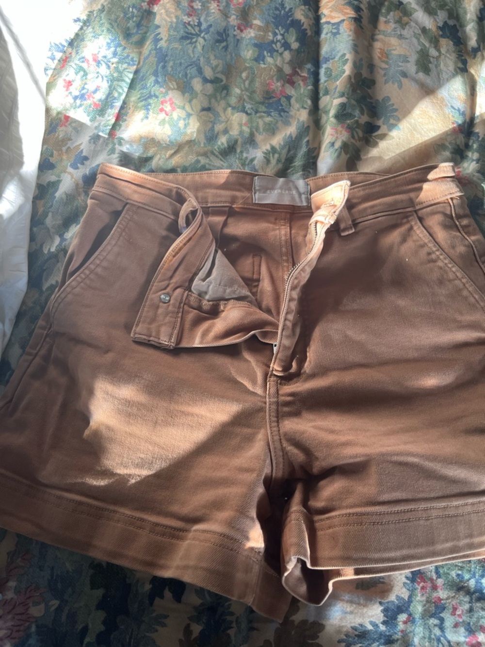 Everlane Brown High-Waist Casual Shorts